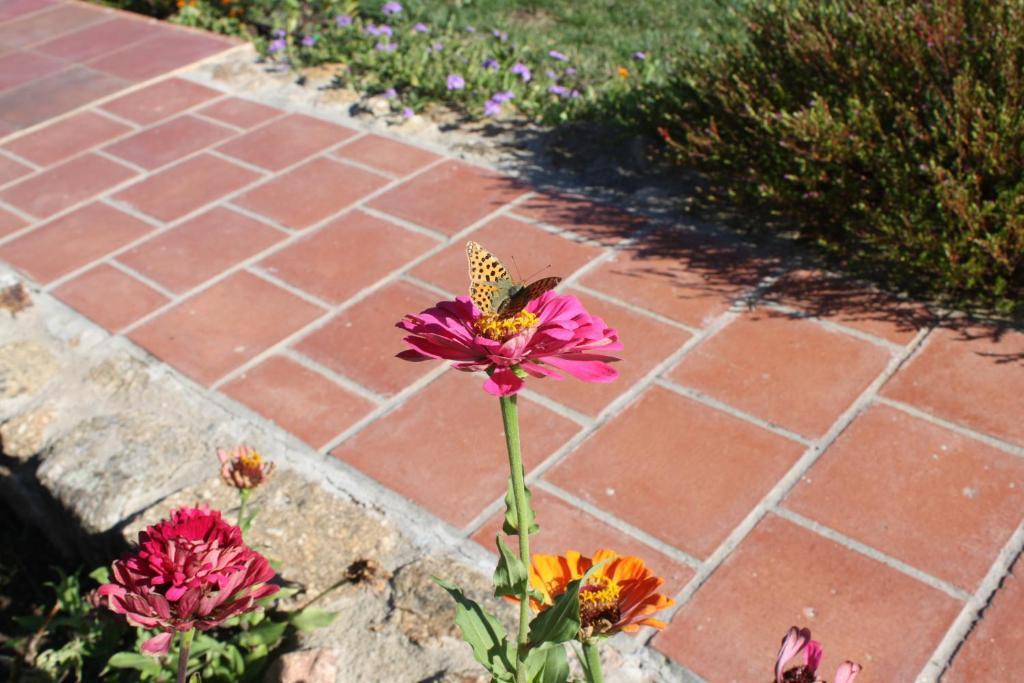 Apartamentos El Jardin Del Poeta Guijo de Granadilla Zewnętrze zdjęcie